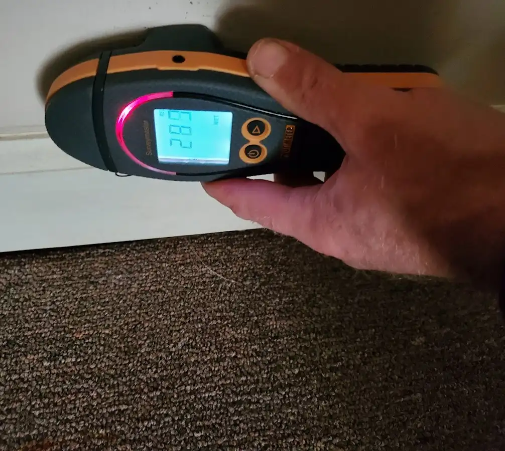 Moisture detection at baseboard during Mold Inspection & Testing in Avenal